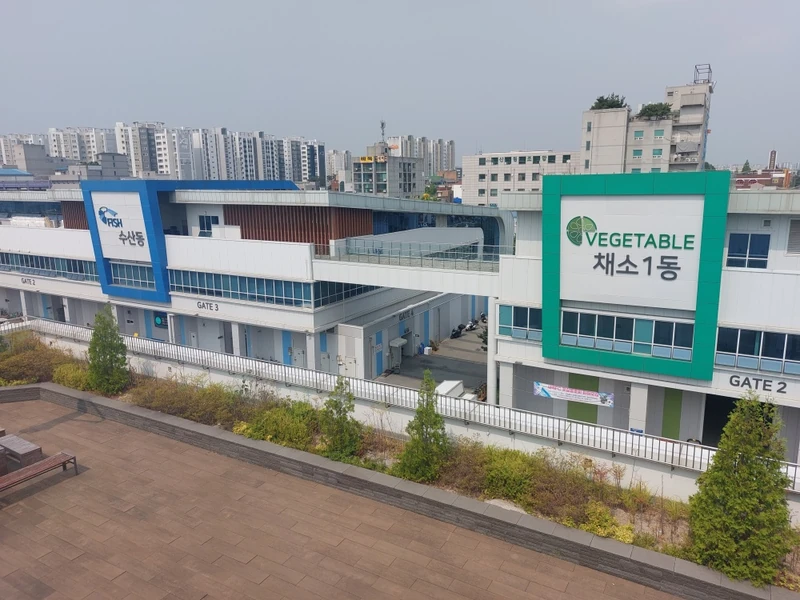 수원 농수산물 도매시장