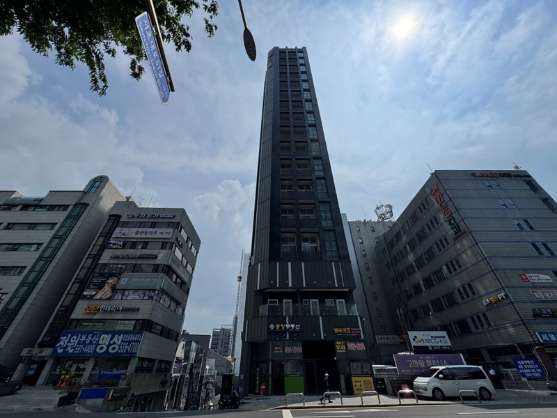 엘루크 반포