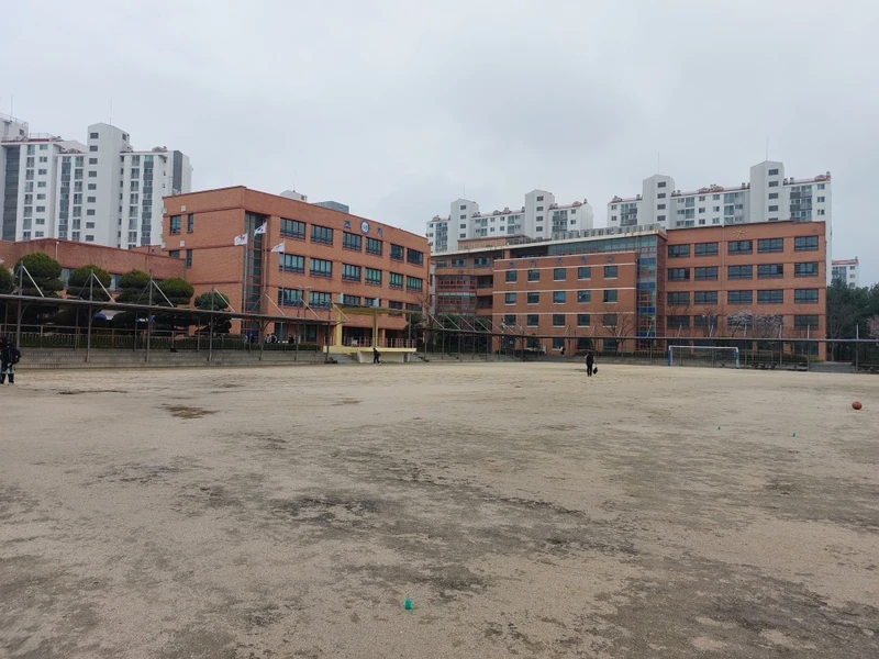 초지중학교